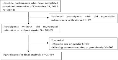 Joint effects of carotid plaques and renal impairment on the risk of cardiovascular disease and all-cause death in a community-based population: The Kailuan cohort study